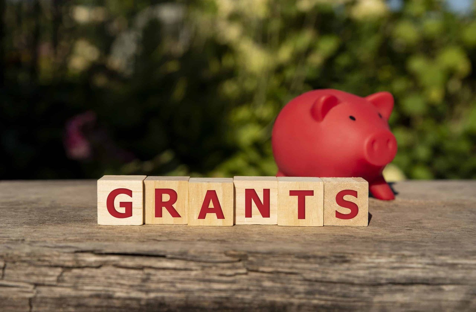 Grant Writing & Funding Identification